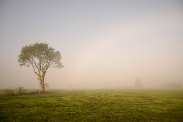 Friesischer Nebel - von strahlenden Sommermorgen bis zu milchigen Wintertagen - Frieslands sanfte Seite 25