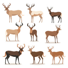 Fototapeta premium Set of deeres. Collection of deer and reindeer. Deer flat cartoon character. Vector illustration.