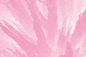Fototapeta premium Light Azalea Pink Abstract Creative Background Design