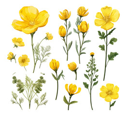 A collection of yellow flowers with green stems. The flowers are arranged in various sizes and positions, creating a sense of depth and movement. Scene is bright and cheerful
