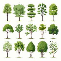 Fototapeta premium Trees collection set. Green plants with leaves, garden botanical, realistic vector illustration isolated on white background