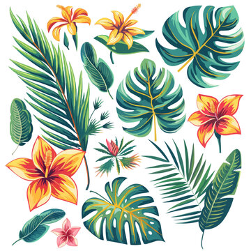 Tropical plants, leaves and palms big set. Exotic illustrations, floral elements isolated, Hawaiian bouquet for greeting card.