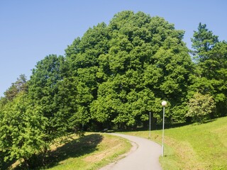Estonia. Toila Oru Park is one of the pearls of Ida-Viru County. It's a great place to walk around.
