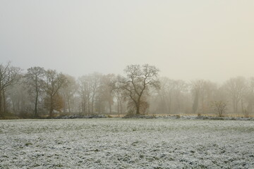 Friesischer Nebel - von strahlenden Sommermorgen bis milchigen Wintertagen - Winternebel 1