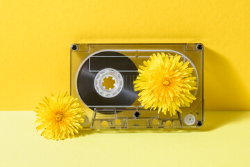 A vintage cassette tape with dandelion flowers in full bloom on a yellow background. - obrazy, fototapety, plakaty