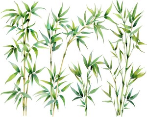 Watercolor Bamboo Leaves Collection. Hand-Drawn Elements For Textile & Paper Design. Isolated Branches & Plants in Shades of Green