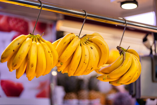 Fresh bananas hanging at a vibrant fruit market