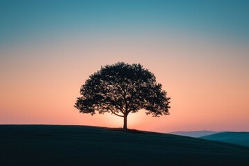 Minimalist photograph of a solitary tree's silhouette against a gradient sunset sky