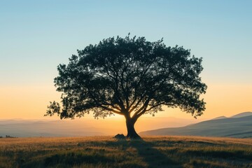 Minimalist photo of a solitary tree silhouette against a warm sunset backdrop, symbolizing growth and tranquility