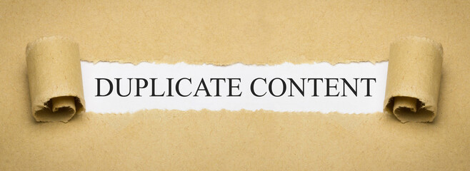Duplicate Content - obrazy, fototapety, plakaty