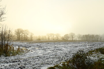 Friesischer Nebel - von strahlenden Sommermorgen bis milchigen Wintertagen - Winternebel 2