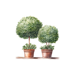 Potted Topiary Trees Watercolor style. Vector illustration design.