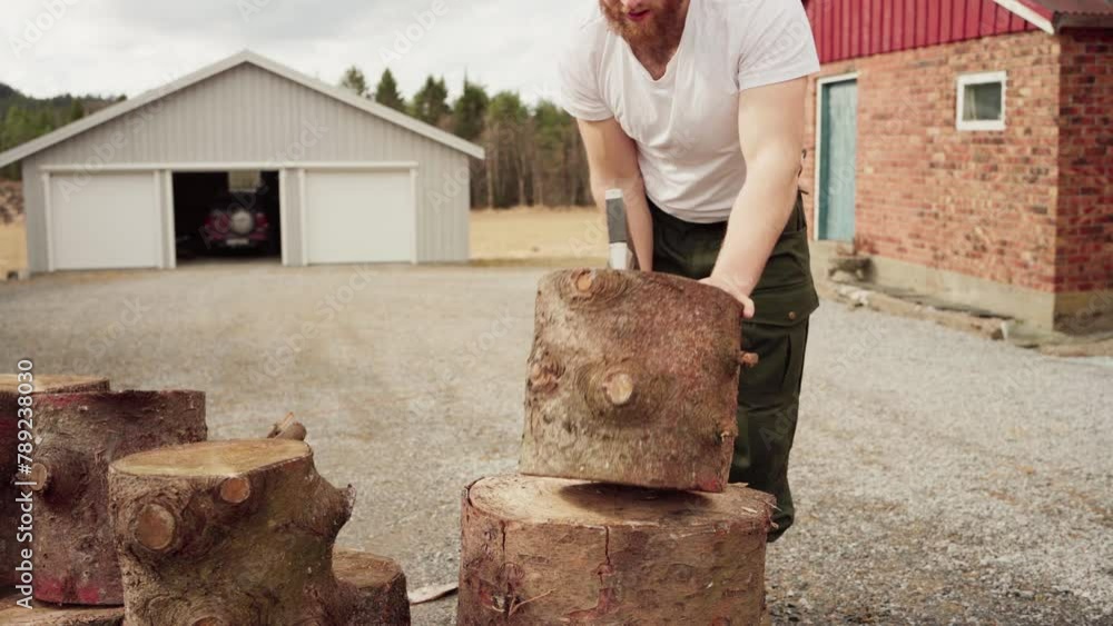 Poster man using axe to cut log or stump - close up