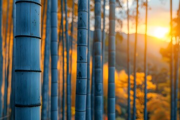 Group of Bamboo Trees With Setting Sun. Generative AI