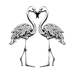 illustration of flamingo