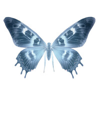 X-ray butterfly png object. Aesthetics of X-rays. Generative AI