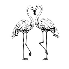 illustration of flamingo