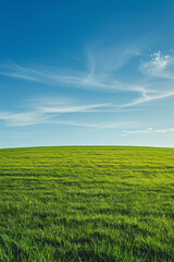 Obraz premium A wide green grass field with a blue sky