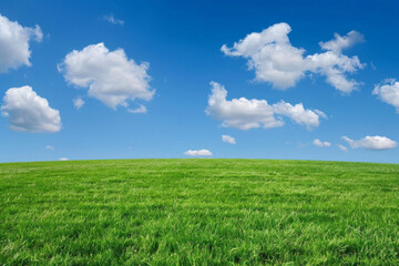 Obraz premium A wide green grass field with a blue sky