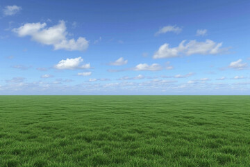 Fototapeta na wymiar A wide green grass field with a blue sky