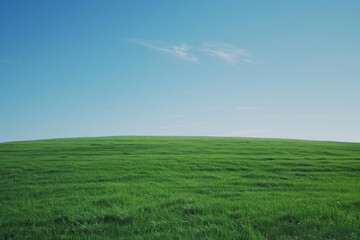 Obraz premium A wide green grass field with a blue sky