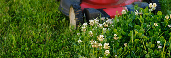 Lawn mower on green grass background. Petrol machine for cutting. Garden care. Electric equipment....