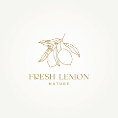 line art hand draw of lemon tree brunch icon logo vector illustration design