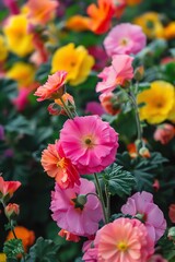 A garden of growing and wilting flowers, each bloom representing the lifecycle of investments