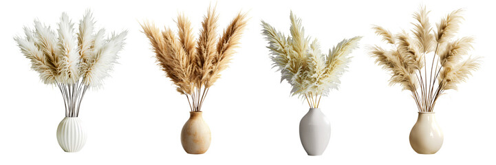 Naklejka premium Set of pampas in vases isolated on a transparent background