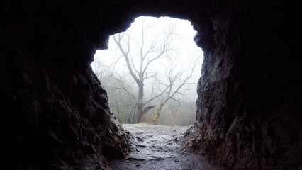 Looking out of a cave entrance on a atmospheric misty day in a forest. With trees in the background.