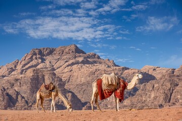Valley of Wonder: Wadi Rum, Known as the Valley of the Moon, Carved into Sandstone and Granite Rock...