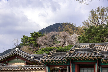 The Korean beautiful traditional old palace,Yuksanggung shrine is the cultural heritage.
