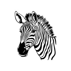 Black and White Zebra Head Hand drawn style. Vector illustration design