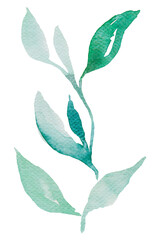 Branch watercolor design element transparent png