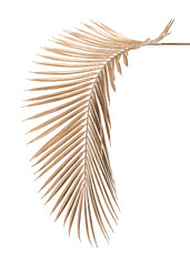 Areca palm leaf painted in gold design element