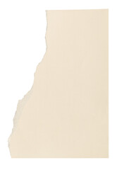 DIY torn paper craft png in beige simple style