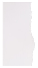 Obraz premium DIY ripped paper craft png in white simple style