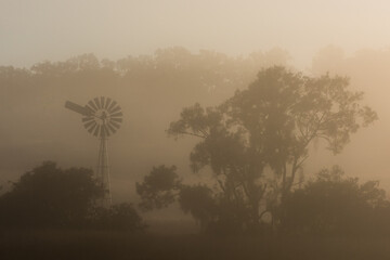 foggy fog country rural morning, windmill and gum eucalyptus trees, outback Queensland, Australia © Cynthia