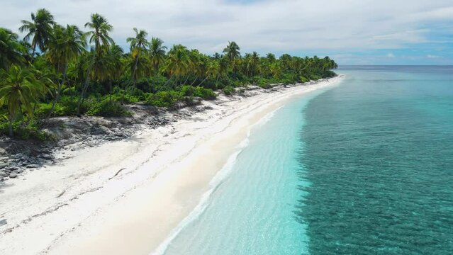 Tropical beach with palm trees and transparent blue ocean on sunny day. Aerial view on luxury paradise island