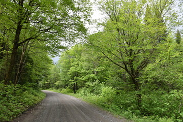 A country road in spring, Sainte-Apolline, Québec, Canada