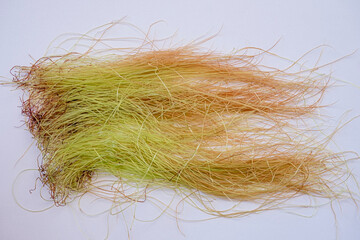 corn silk made from stigmas, stigma maydis, natural yellow thread like strands fiber used as herbal...