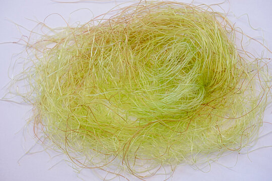 corn silk made from stigmas, stigma maydis, natural yellow thread like strands fiber used as herbal medicine
