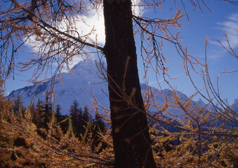 aiguille verte in chamonix in haute savoie