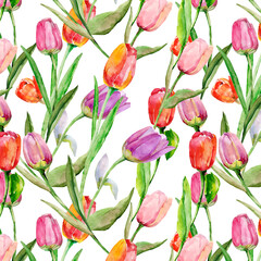 Tulips seamless pattern. Image on a white and colored background. - 789290632