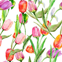 Tulips seamless pattern. Image on a white and colored background. - 789290653
