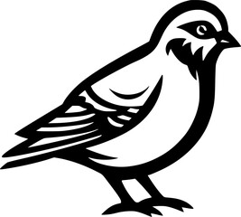 Pigeon - Black and White Isolated Icon - Vector illustration - obrazy, fototapety, plakaty