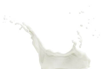 Milk splashes design element