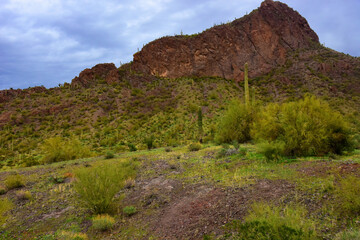Fototapeta na wymiar Sonora Desert Arizona Picacho Peak State Park