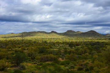 Foothills of Superstition Mountains Arizona