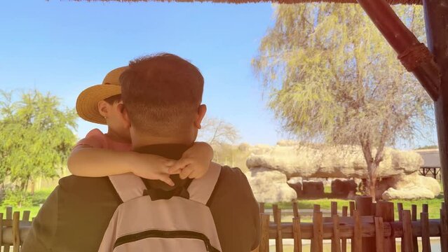 man and child looking at elephants at the zoo